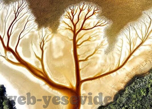 轮理片神马伦理片-伦理片，人性深处的探索与反思