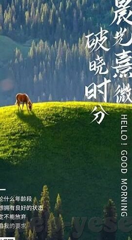 麻豆甄选视频-探索网络视界,麻豆甄选视频的魅力与影响